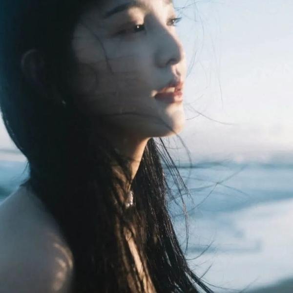 海狼行动
